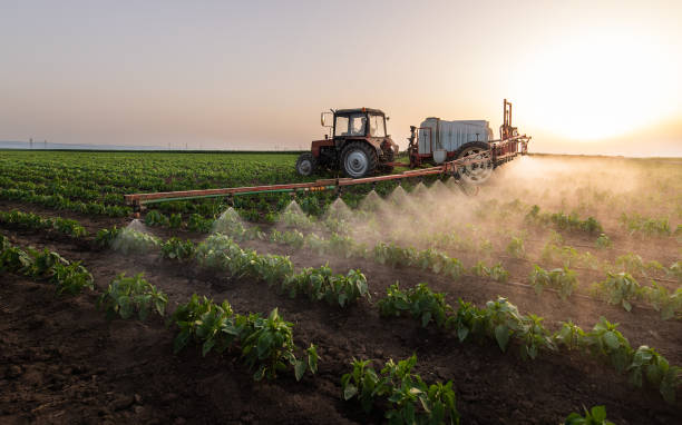 Best Commercial Pest Control Services  in Wayzata, MN