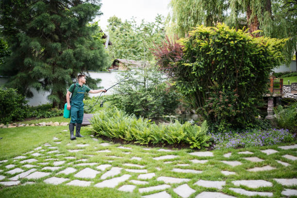 Best Pest Removal Services  in Wayzata, MN