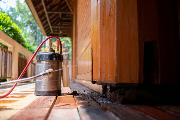 Best Ant Control Services  in Wayzata, MN